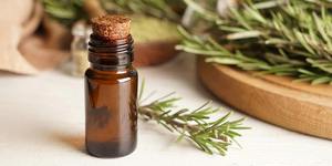 Premium <b>Rosemary</b> Essential <b>Oil</b> <b>Natural</b> Plant Extract for Wellness - Product Image 5