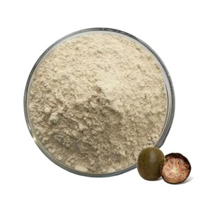 Extracto de Fruta del Monje de Marca Privada 10:1, Polvo de Extracto Natural de Luo Han Guo para Productos Alimenticios y Bebidas Endulzantes - Product Image 1
