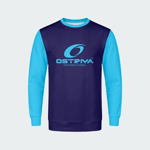 เสื้อสเวตเชิ้ตผู้ชาย OEM สีพื้น ไซส์ใหญ่ ทรงปกติ ผ้าฝ้าย 100% เสื้อผ้าสตรีทแวร์ฤดูหนาว แขนยาว คอกลม แห้งเร็ว - Product Image 1