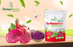 Fruta del Dragón Roja en Rodajas 100% Natural, Deshidratada, Sabor Dulce, Ideal para Smoothies, Postres, Repostería y Snacks Crujientes, Empaque a Granel - Product Image 6