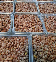 Biologische Knapperige Natuurlijk Geroosterde Gedroogde Cashewnoten Vietnam - Gezond Veganistisch Voedsel Topkwaliteit Groothandel Private Label OEM Service