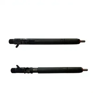 Injecteur de carburant diesel Euro 5 pour TATA Xenon 2.2L, OEM 278901160106, Sumo Grande Aria, pièces détachées moteur auto d'origine. - Product Image 1