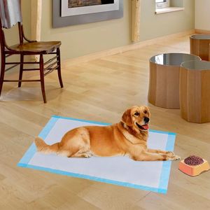 300 Pezzi XL 17"x24" Tappetini Assorbenti per Cani Ecologici e Impermeabili - Product Image 2
