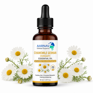 น้ำมันหอมระเหยคาโมมายล์เยอรมันจากฮังการี (Matricaria Recutita) บริสุทธิ์ 100% กลั่นด้วยไอน้ำ สำหรับเครื่องสำอาง น้ำหอม จำหน่ายส่ง - Product Image 1