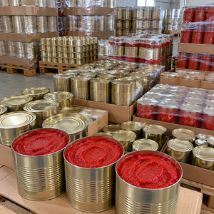 Purée de tomates transformée avec 28 % de solides solubles, pâte de tomates en conserve dans des boîtes métalliques industrielles scellées pour les ventes en gros en cartons. - Product Image 1