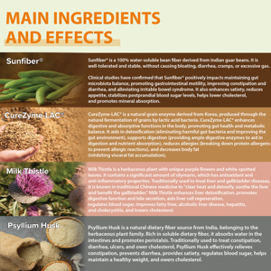 Les suppléments à base de plantes en poudre de fibres alimentaires Fitflux extraits de fruits et légumes favorisent la santé digestive des adultes - Product Image 4