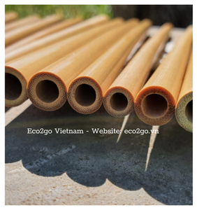 Eco2go Vietnam Pailles à boire en bambou personnalisables de haute qualité Pailles jetables pour thé à bulles avec emballage de qualité supérieure - Product Image 2