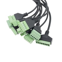 Câble USB Type C vers bornier 5 broches, mâle vers femelle, laiton nickelé, noir/vert, 300 mm