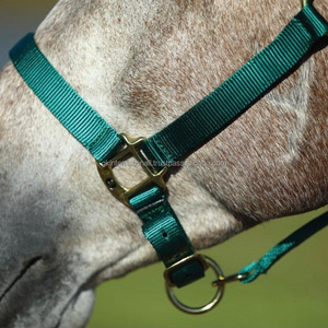 Halter estable de nailon Premium con hardware de latón, 1 pulgada de ancho, con enganche de garganta extraíble - Product Image 6