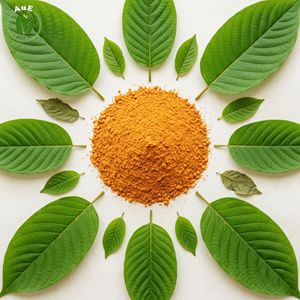 Extracto de Hoja Herbal Tailandesa Orgánico Farmacéutico AuE de Grado Premium 7-OH MIT en Polvo 80% Extraído con Solvente de Cultivo Natural TH - Product Image 2