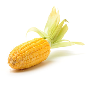 Fresh Dried Yellow <b>Corn</b> With Golden Color And High Nutritional Value Yellow <b>Corn</b> Ideal For Livestock Feed <b>Snack</b> Production - Product Image 4
