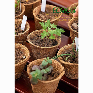 Pot en fibre de coco de qualité supérieure, vente en gros directe du fabricant vietnamien - Idéal pour les pépinières et jardins commerciaux - Product Image 6