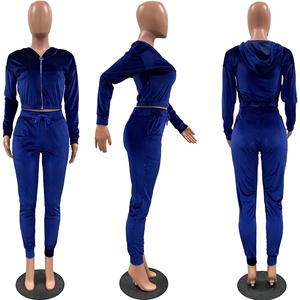Custom Logo top quality women 2021 winter fashion velour two piece set long sleeve crop top zipper hoodie & velvet joggers - Product Image 6
