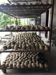 PRODUIT TENDANT Plateau de service en MDF fait à la main Assiette mère de poire pour l'affichage des aliments et la décoration intérieure Emballé dans un carton - Product Image 6