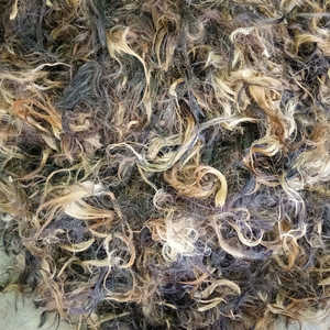 ขนหางวัวหลากสีธรรมชาติ ล้างและอบแห้งแล้ว วัสดุสำหรับงานฝีมือและทำเหยื่อตกปลา ราคาดีที่สุด - Product Image 3