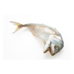 Pescado Macarela Fresco de Primera Calidad, Proveniente de Importadores Globales de Mariscos - Product Image 5