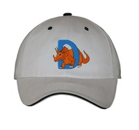 Casquette de baseball OMD personnalisée pour enfants, 6 panneaux, printemps-été, décontractée, sportive, en tissu Dobby Oxford 100% coton, broderie 3D manuelle de fruits