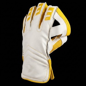 Fabricant de gants de gardien de but de cricket en gros avec personnalisation de la marque, production OEM et service d'exportation directe d'usine pour les marques - Product Image 1