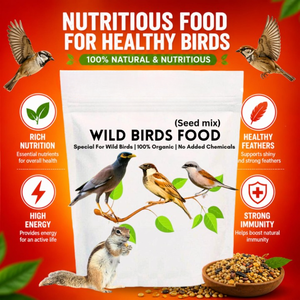 Alimento Premium Orgánico para Aves y Gallinas, Mezcla de Frutas y Semillas, Alto en Proteínas, Nutrición Diaria, Crecimiento Saludable, Refuerzo del Sistema Inmunológico - Product Image 4