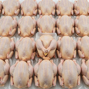 Pechuga de Pollo Halal Congelada de Calidad de Exportación, Sin Hueso ni Piel, Carne de Aves de Corral de Origen Agrícola, Procesada Higiénicamente, Suministro a Granel para el Mercado - Product Image 5