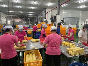 Rodajas de Piña Enlatadas para Hornear, para Helados y como Adorno para Postres/ QUEEN PINEAPPLE SLICE - Product Image 5