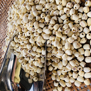 Para el té, beber después de mezclar con agua. Semillas de loto secas enteras extremadamente nutritivas. Semillas de loto crudas de alto estándar a buen precio. - Product Image 1