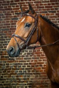 Do fabricante indiano confortável anatômica flash noseband freio decorativo quadrado levantado removível cavalo por Horsekraft - Product Image 5