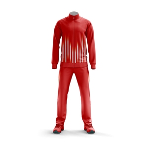 Conjunto Deportivo para Hombre, Chaqueta con Cierre Completo y Cuello Alto, Diseño con Bloques de Color, Transpirable, de Poliéster, para Otoño - Product Image 6