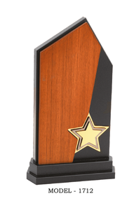 Trophée commémoratif élégant en bois pour la reconnaissance de la leadership, l'excellence des employés, les réalisations d'entreprise et les cérémonies de récompenses spéciales - Product Image 3