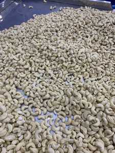 Nueces de Anacardo Vietnamitas de Buena Calidad, Grado W320, Fritas y Secas, Enteras y Partidas, en Bolsa al Vacío, de Phalco Vietnam, Saludables - Product Image 3