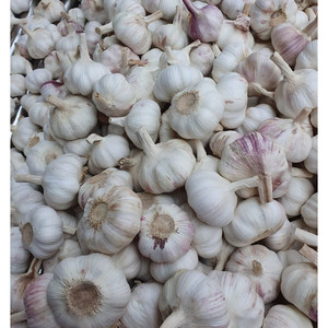 Ail frais blanc sélectionné, 100 % naturel, offert aux acheteurs en gros souhaitant des produits aromatiques, conditionné pour l'exportation internationale - Product Image 1
