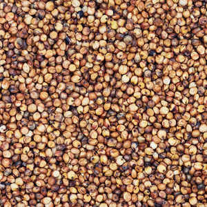 Graines de Sorgho de Haute Qualité en Gros – Approvisionnement en Vrac – Graines de Sorgho Séchées et Propres – Alimentation Animale, Industrie Alimentaire, Brassage – Sans Gluten – Qualité Export - Product Image 5