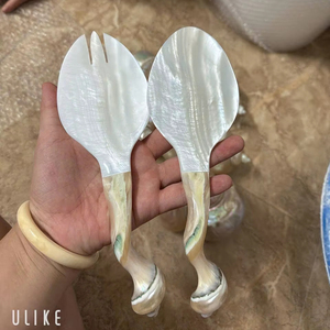 Exquisitas Cucharas de Nácar Vietnamitas Hechas a Mano de 23 cm, Servidores de Ensalada de Concha Natural Artesanal, Vajilla con Brillo Iridiscente Arcoíris - Product Image 1