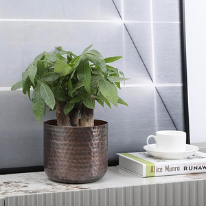 Jarrón de Metal en Tono Cobre Vintage, Maceta con Textura Martillada, Recipiente Cilíndrico para Plantas Suculentas de Interior, Macetas de Metal - Product Image 3