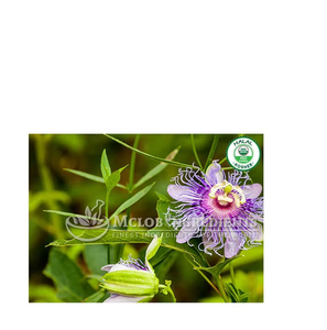 Extracto de Flor de la Pasión Premium, Suplemento Herbal Natural para el Alivio del Estrés, Relajación, Apoyo al Sueño y Equilibrio del Estado de Ánimo - Product Image 1