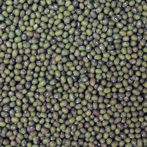 Frijoles Mung Secos Orgánicos Puros, Envasados en Paquetes Personalizados, con Preparación Limpia y Suministro Confiable para Importación - Product Image 6