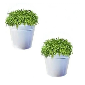 Pot de fleurs en métal rétro pour plantes succulentes, pot de fleurs rustique avec poignée en corde, jardinière ovale galvanisée en zinc pour l'intérieur et l'extérieur - Product Image 4