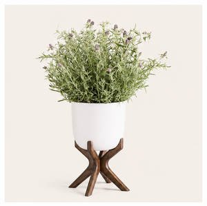 Modern Solid Wood Plant Stand Eco-Friendly Minimalist Indoor Flower <b>Pot</b> <b>Holder</b> Floor Standing Display for Home & Garden Decor - Product Image 3