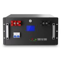 Batterie LiFePO4 51,2 V 200 Ah à montage en rack, 10,24 kWh, stockage solaire avec BMS Bluetooth/WiFi/CAN, 6000+ cycles, 16 unités en parallèle