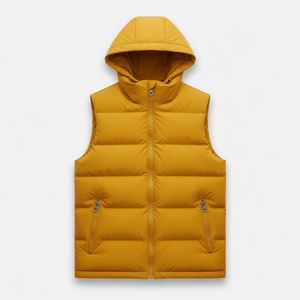 Custom Logo Half Zipper Breathable Woven Fabric Polyester Lining <b>Pullover</b> Hooded Windbreaker Jackets Winter Street-wear - Product Image 1