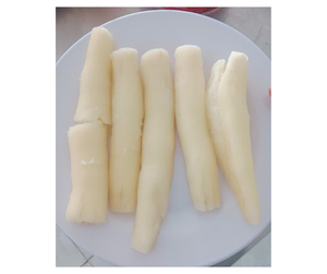 Raíz de Yuca Congelada de Alta Calidad, Proveedor de Fábrica de Vietnam - Raíz de Yuca Congelada en Trozos para Compradores al por Mayor - Product Image 1