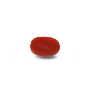 Natural Red Coral Beads 6.9 Carat Certified Wholesale Quality - Product Image 2