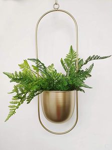 Support de Plantes Décoratif Moderne en Fer Thermolaqué Écologique Durable Léger avec Trou de Drainage et Option de Suspension pour Jardin Domestique - Product Image 1