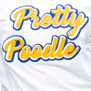 T-shirt gris pour femme Pretty Poodle, style sororité grecque, avec motifs blancs, bleus et dorés, décontracté et confortable pour tous les jours - Product Image 5