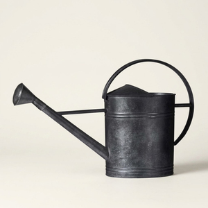 Regadera de Acero Galvanizado Estilo Antiguo, Duradera, de Metal, para Riego de Plantas en Interiores y Exteriores, a Bajo Precio - Product Image 4