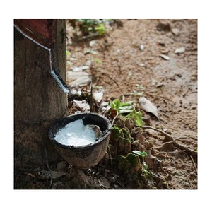 Liquidación de Fin de Año Últimas Oportunidades 100% GARANTÍA DE CALIDAD Látex de Caucho Blanco 100% Natural del Reino Unido - Product Image 4