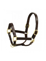 TAK Luxury Elegant Soft Leather Horse Headcollar Model HC2001 Durable Gear Customized Color Logo for Horse Riding Equestrian Use