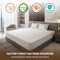 Matelas à ressorts ensachés Queen pour achats groupés, avec mousse à mémoire de forme et maille respirante 3D, qualité hospitalière, luxe européen moderne, personnalisable OEM