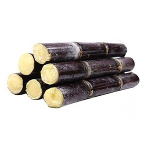 Caña de Azúcar Congelada de Alta Calidad – Origen Vietnam, OEM Disponible, Suministro Constante - Product Image 1