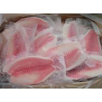 Fournisseur de filets de tilapia congelés, filets de poisson frais congelés pour les importateurs et les distributeurs